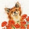 Bothy Threads Poppy Field Counted Cross Stitch Kit
